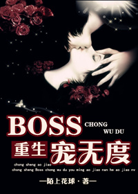 []BOSS޶